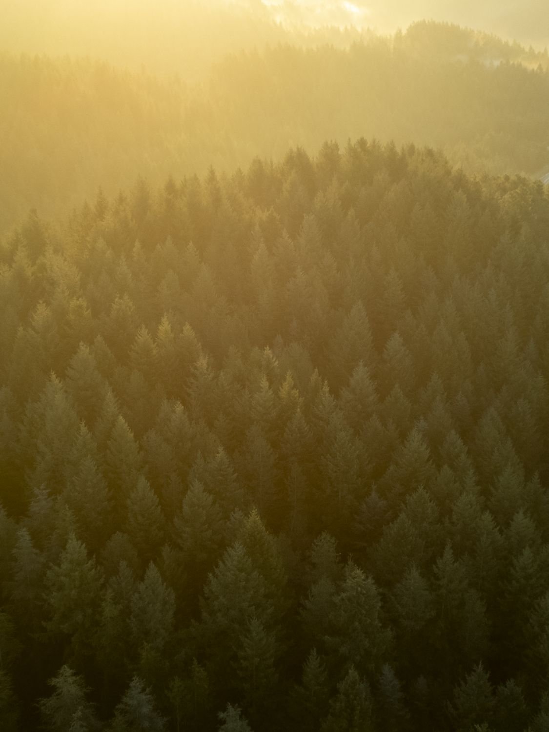 Fotografia d'aventura, natura i viatge per a marques — Natàlia Prats Studio