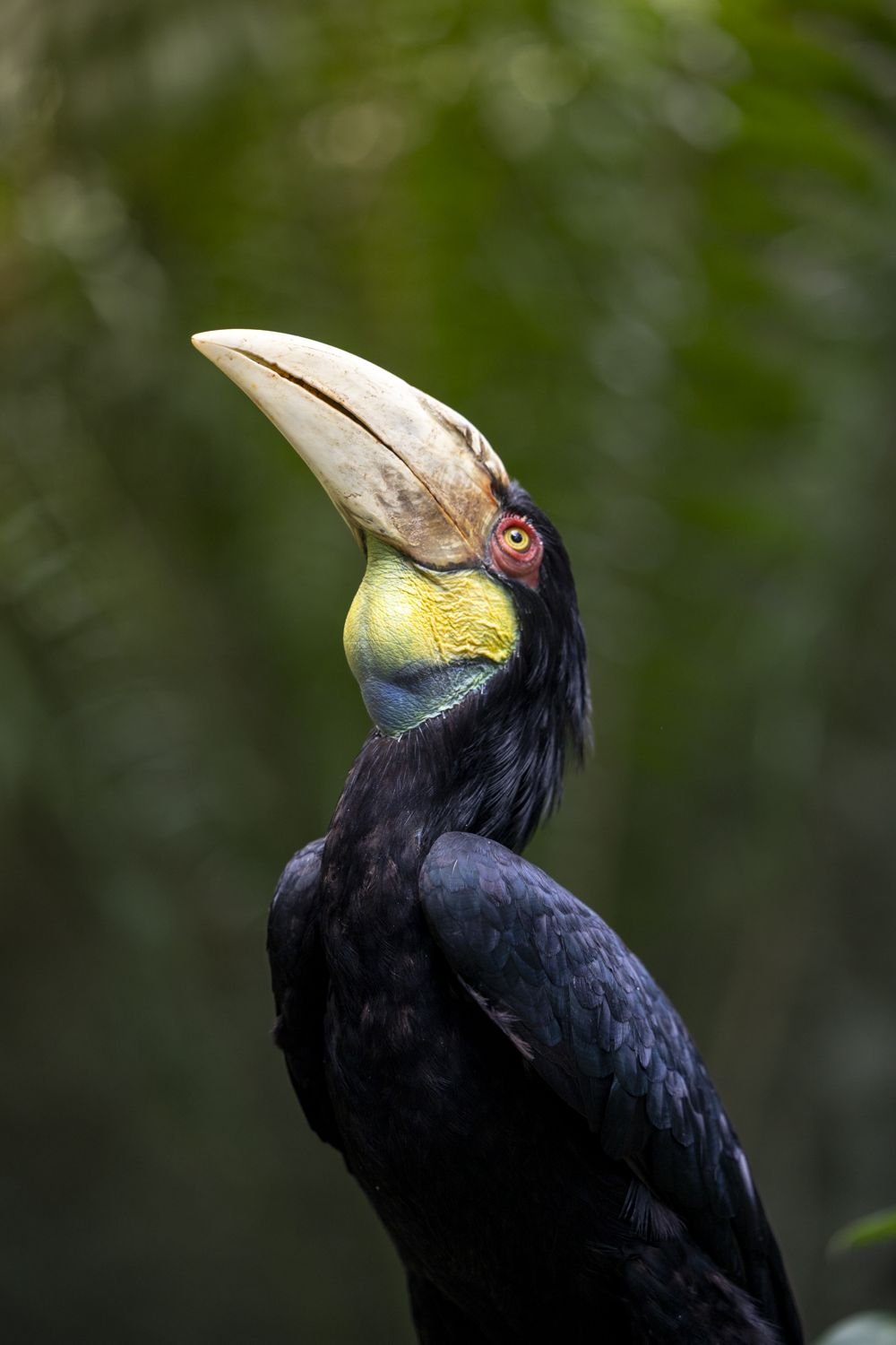 Fotografia d'aventura, natura i viatge per a marques — Natàlia Prats Studio