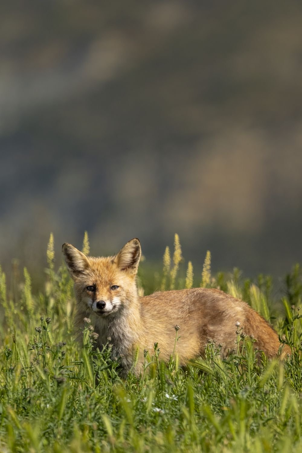 Fotografia d'aventura, natura i viatge per a marques — Natàlia Prats Studio