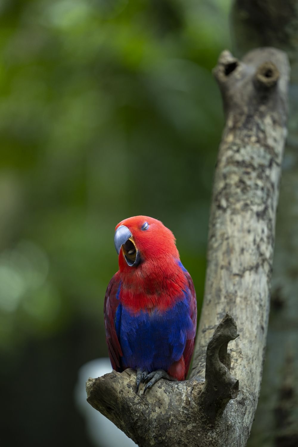 Fotografia d'aventura, natura i viatge per a marques — Natàlia Prats Studio