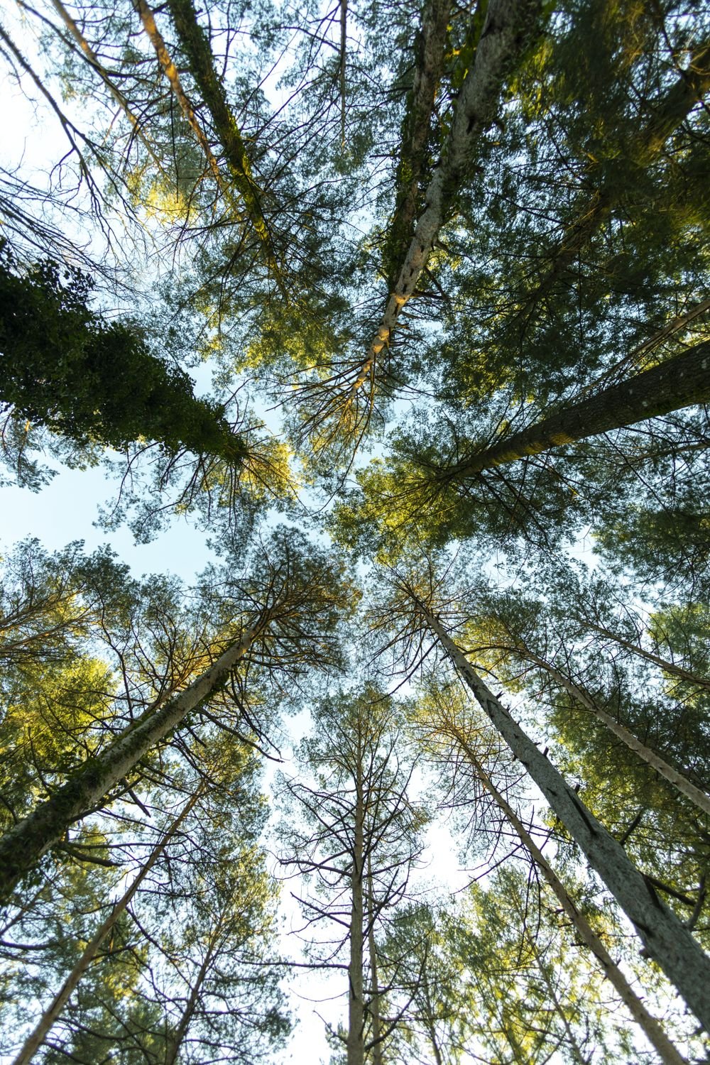 Fotografia d'aventura, natura i viatge per a marques — Natàlia Prats Studio