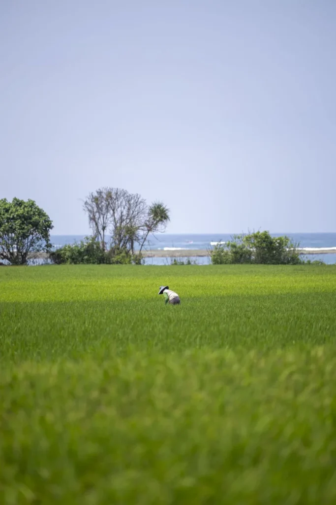Fotografia d'aventura, natura i viatge per a marques — Natàlia Prats Studio