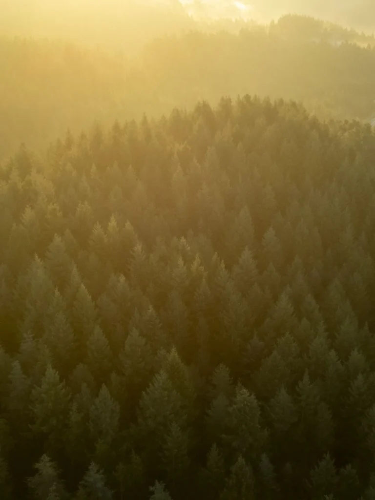 Fotografia d'aventura, natura i viatge per a marques — Natàlia Prats Studio