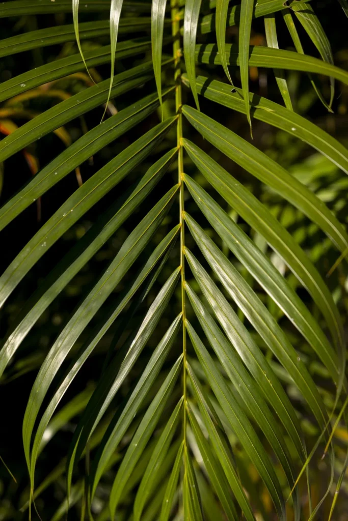 Fotografia d'aventura, natura i viatge per a marques — Natàlia Prats Studio